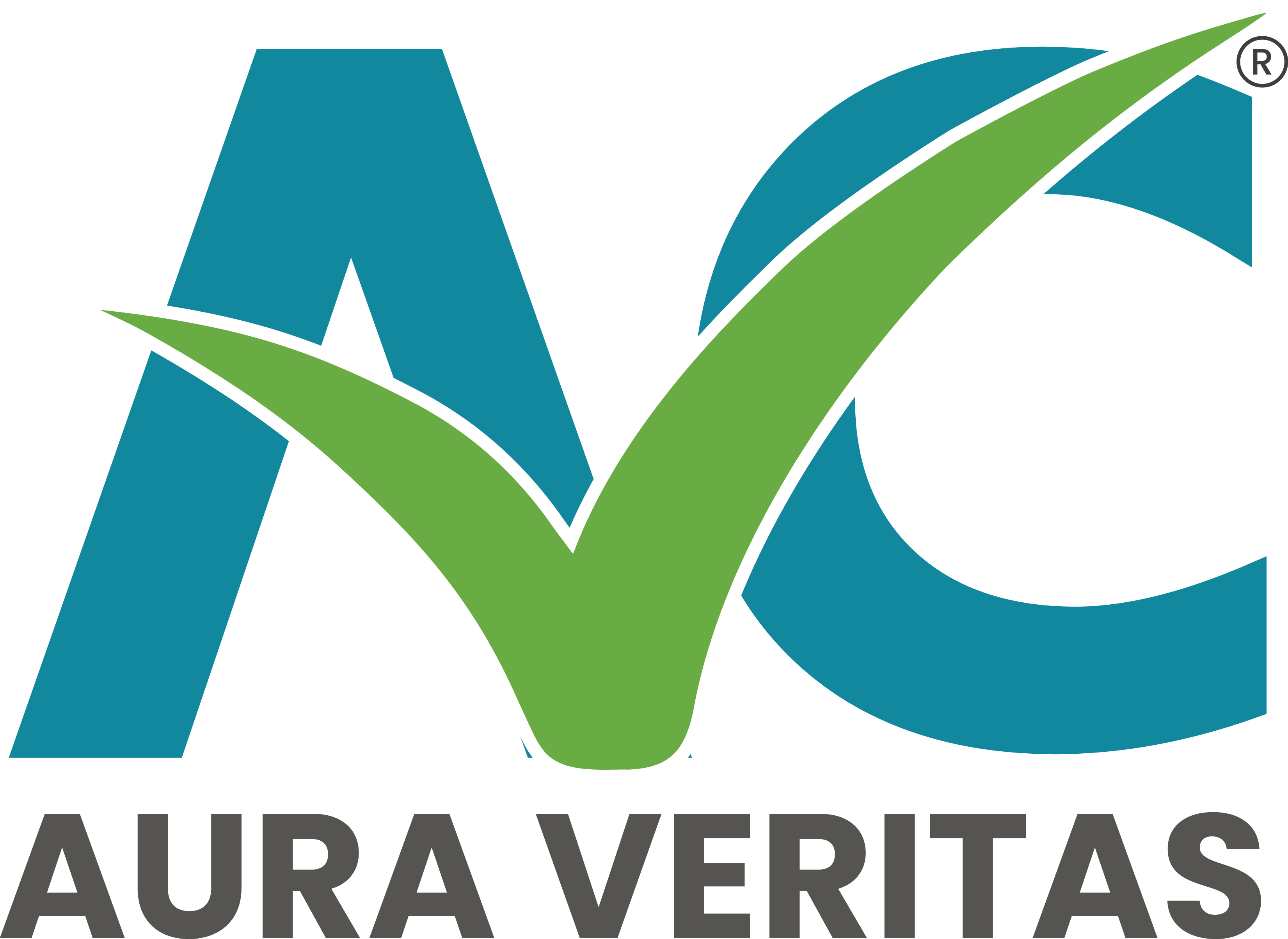 aura-veritas-company-for-inspection-services